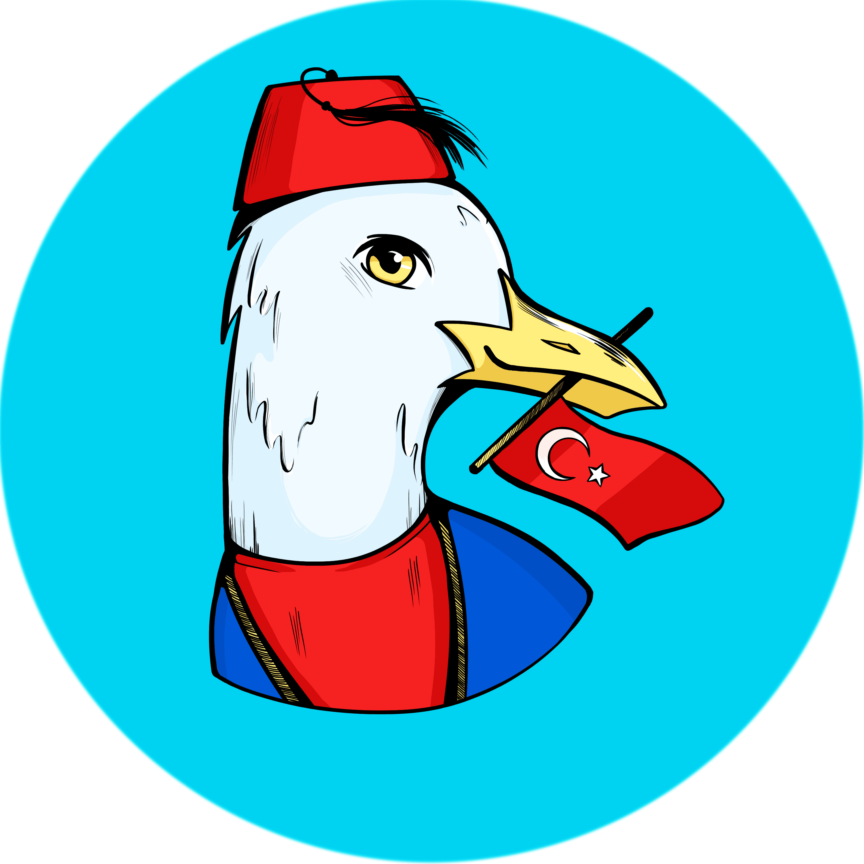 LinguaTurca логотип